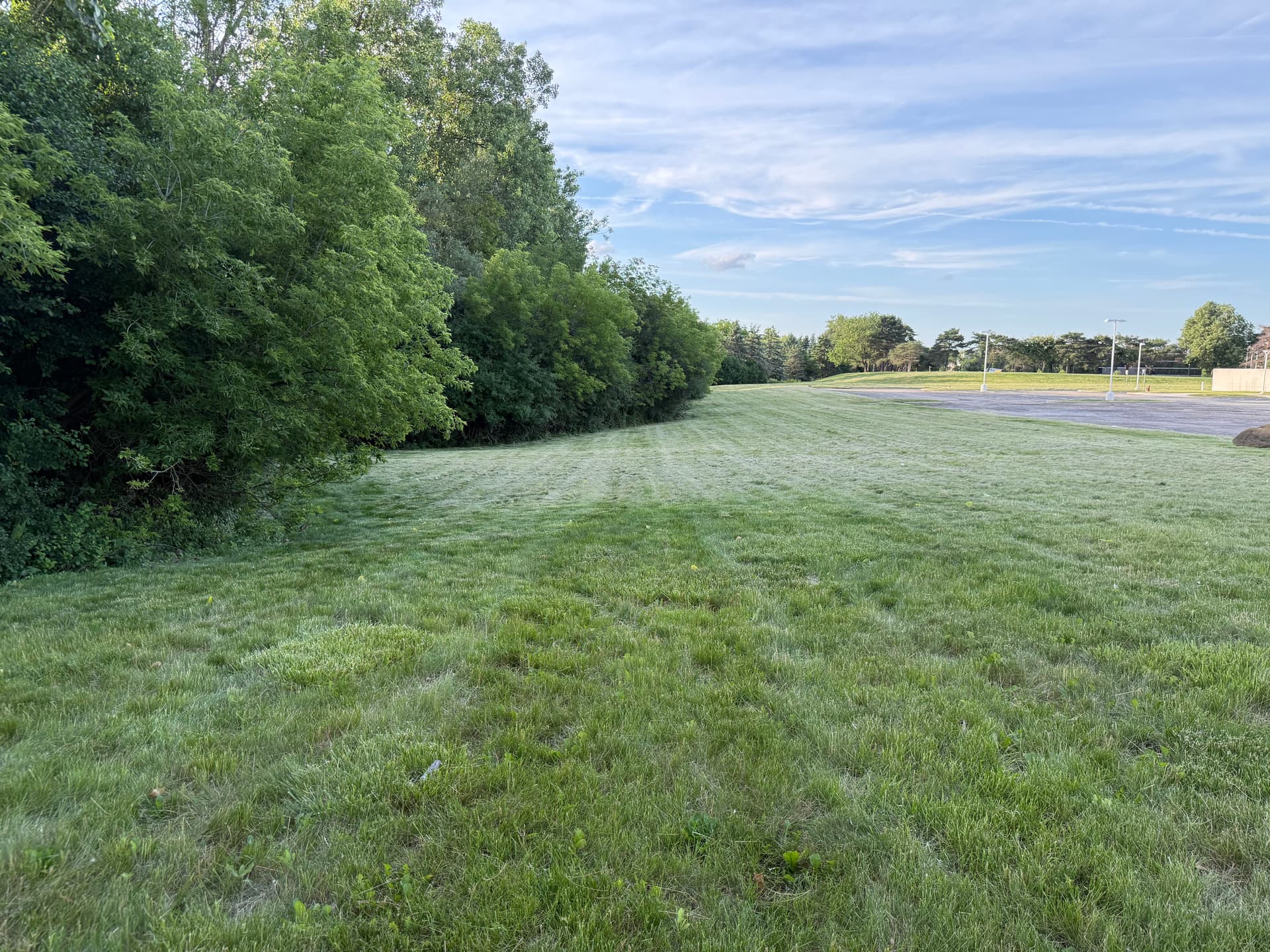 Commercial grounds maintenance — mowing and trimming at a commercial property, Southeast Michigan