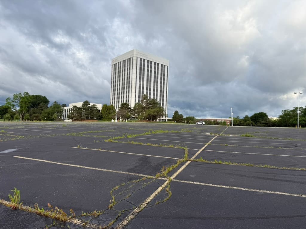 Neglected commercial parking lot with weed growth through cracks — capital projects and site improvements, Southeast Michigan