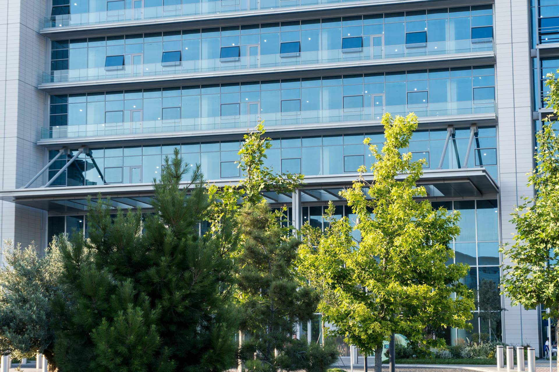 Modern glass office building with green trees in front