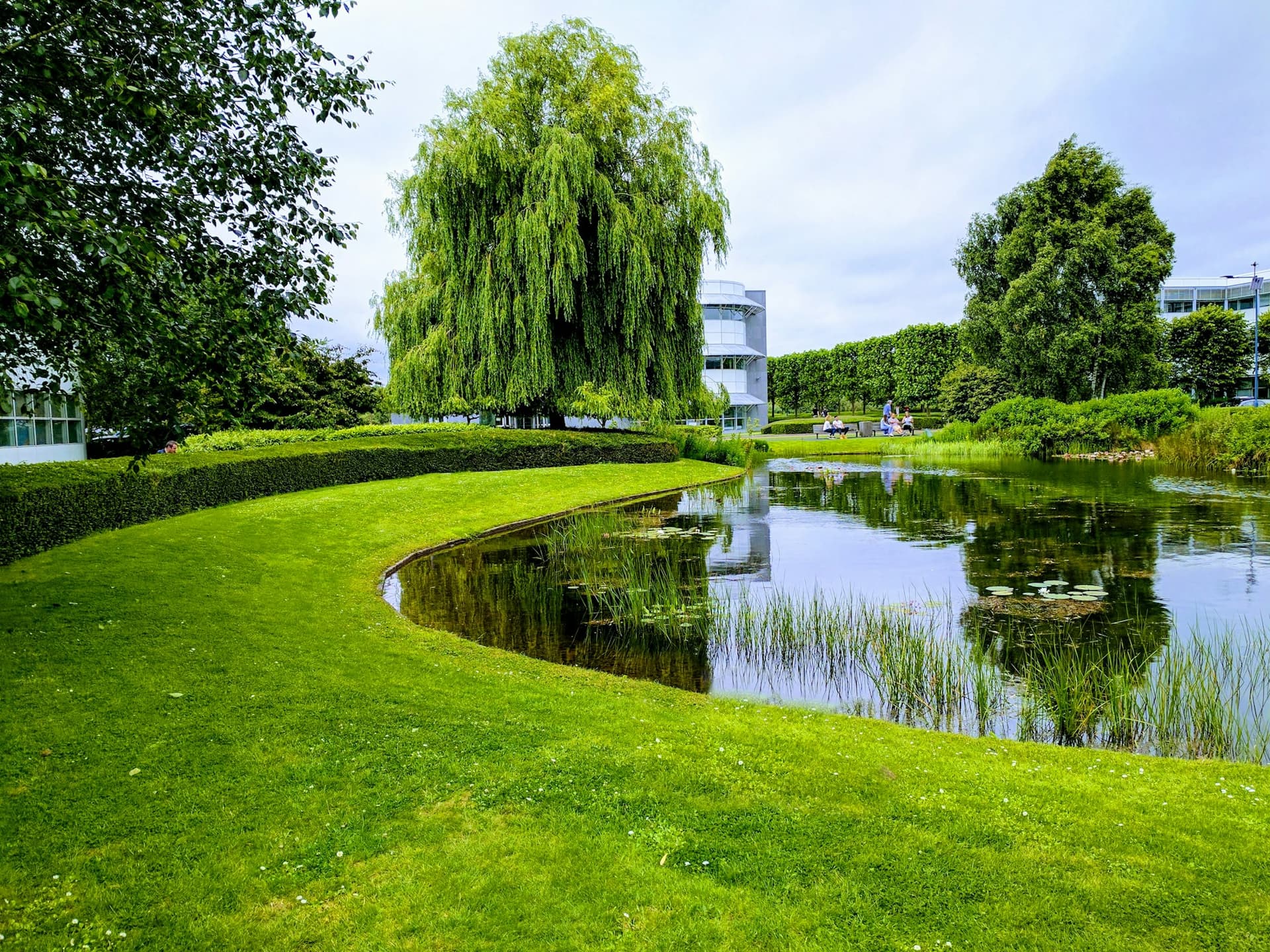 Landscaped business park with lawn, trees and a pond beside an office building